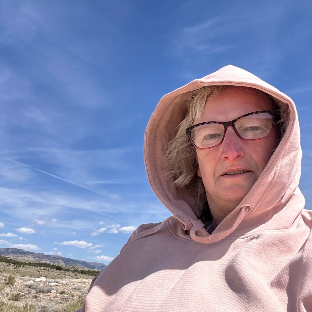 Pink Hooded Sweatshirt